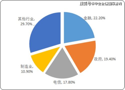 2020年中国IT服务市场深度调研及投资前景预测 聚焦信息技术咨询服务