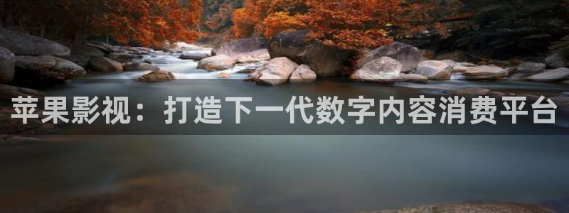 现在就出发第二季免费观看完整版金牌影院