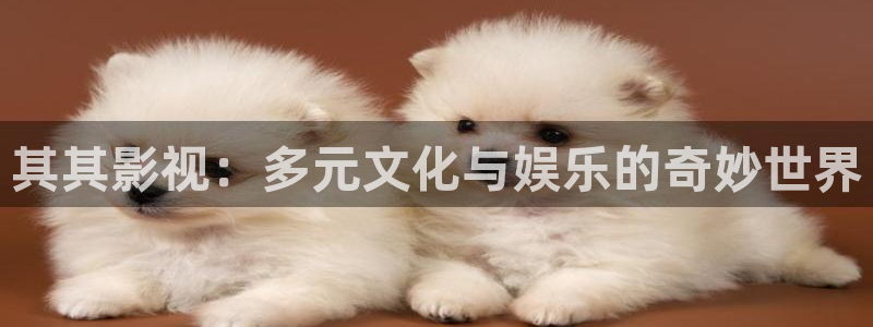金牌影院最新影视大全
