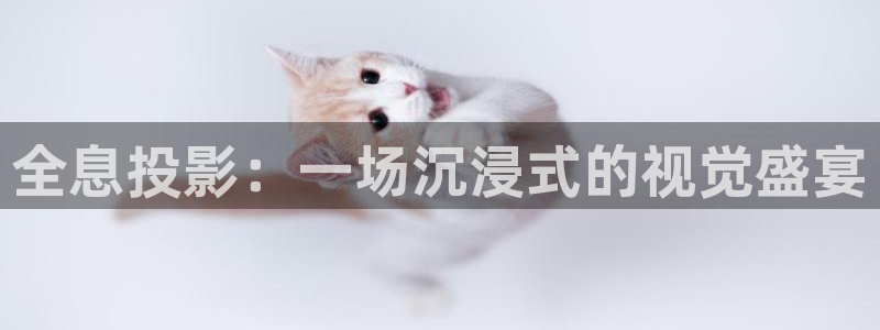 金牌影院首页