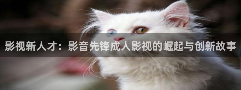金牌影院官网入口电影在线观看