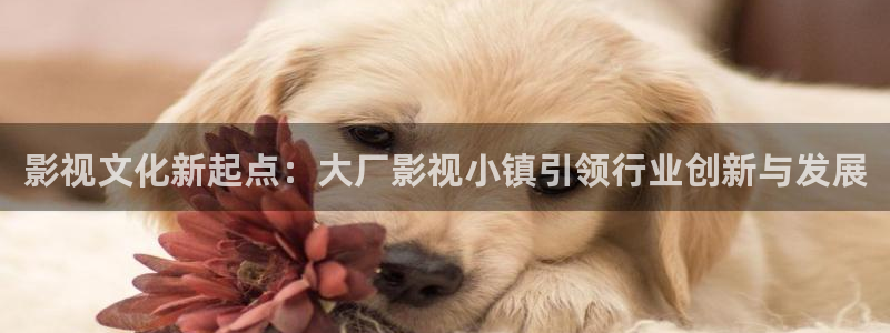 现在就出发第二季免费观看完整版金牌影院
