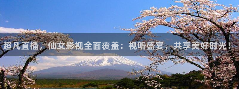 12金牌电影完整版