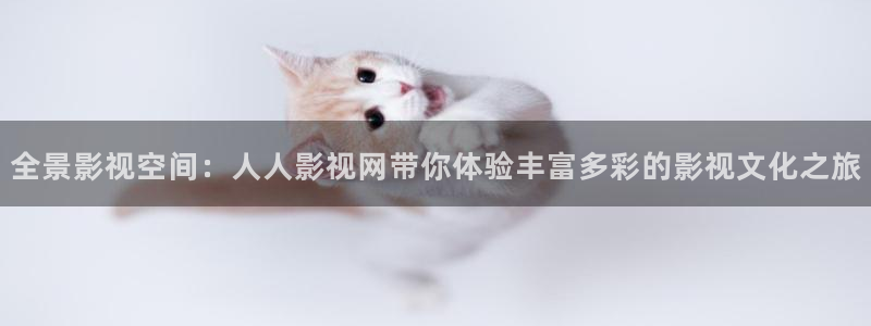 金牌影业